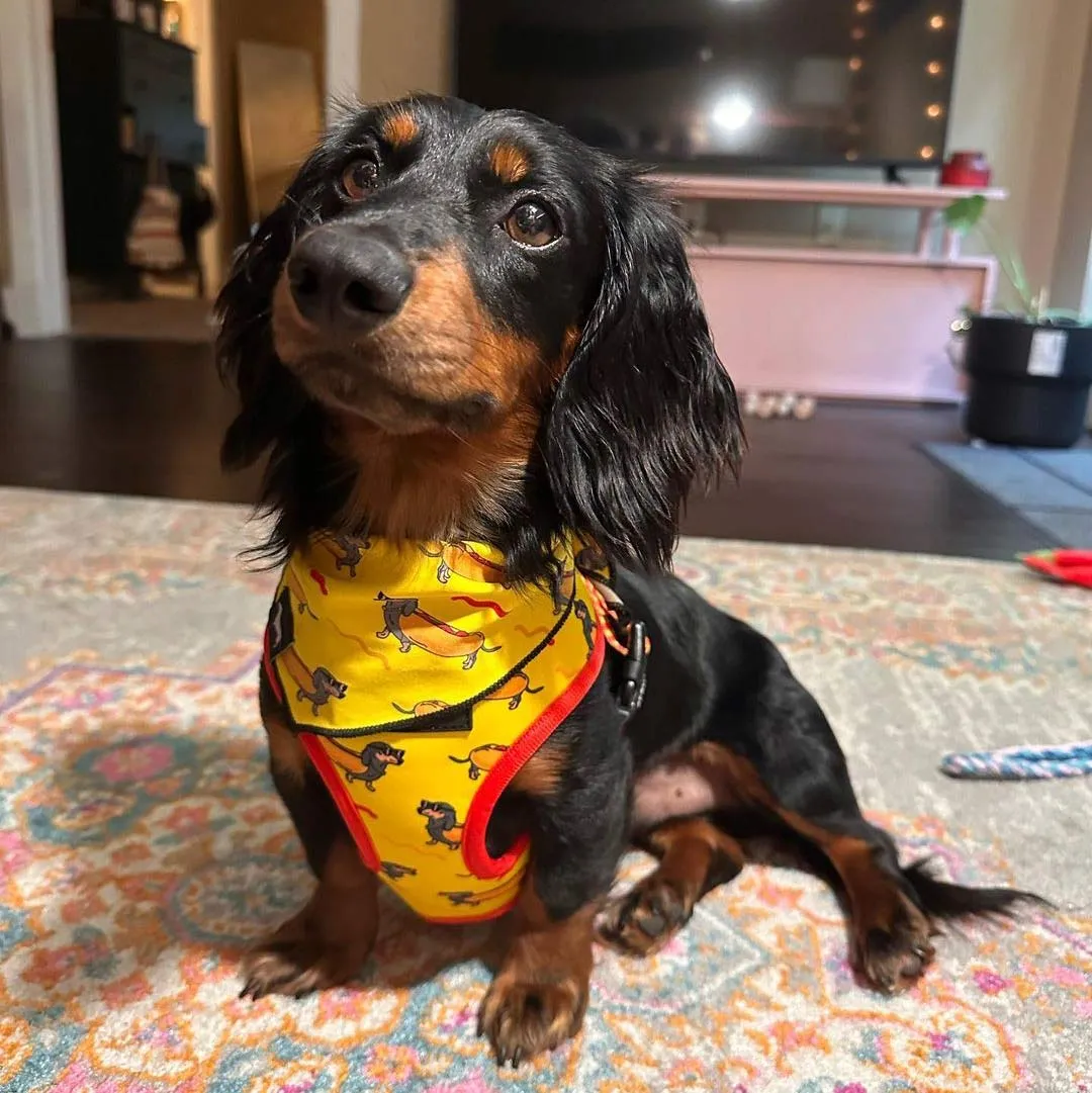 reversible harness - hot dog