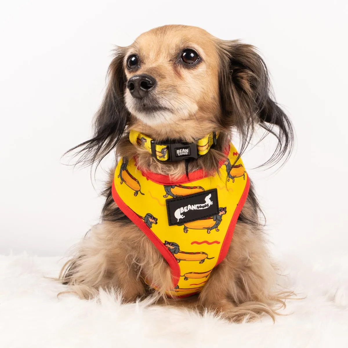 reversible harness - hot dog