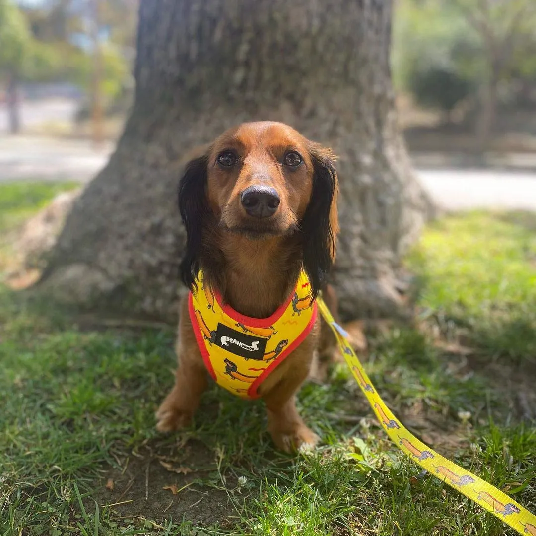 reversible harness - hot dog