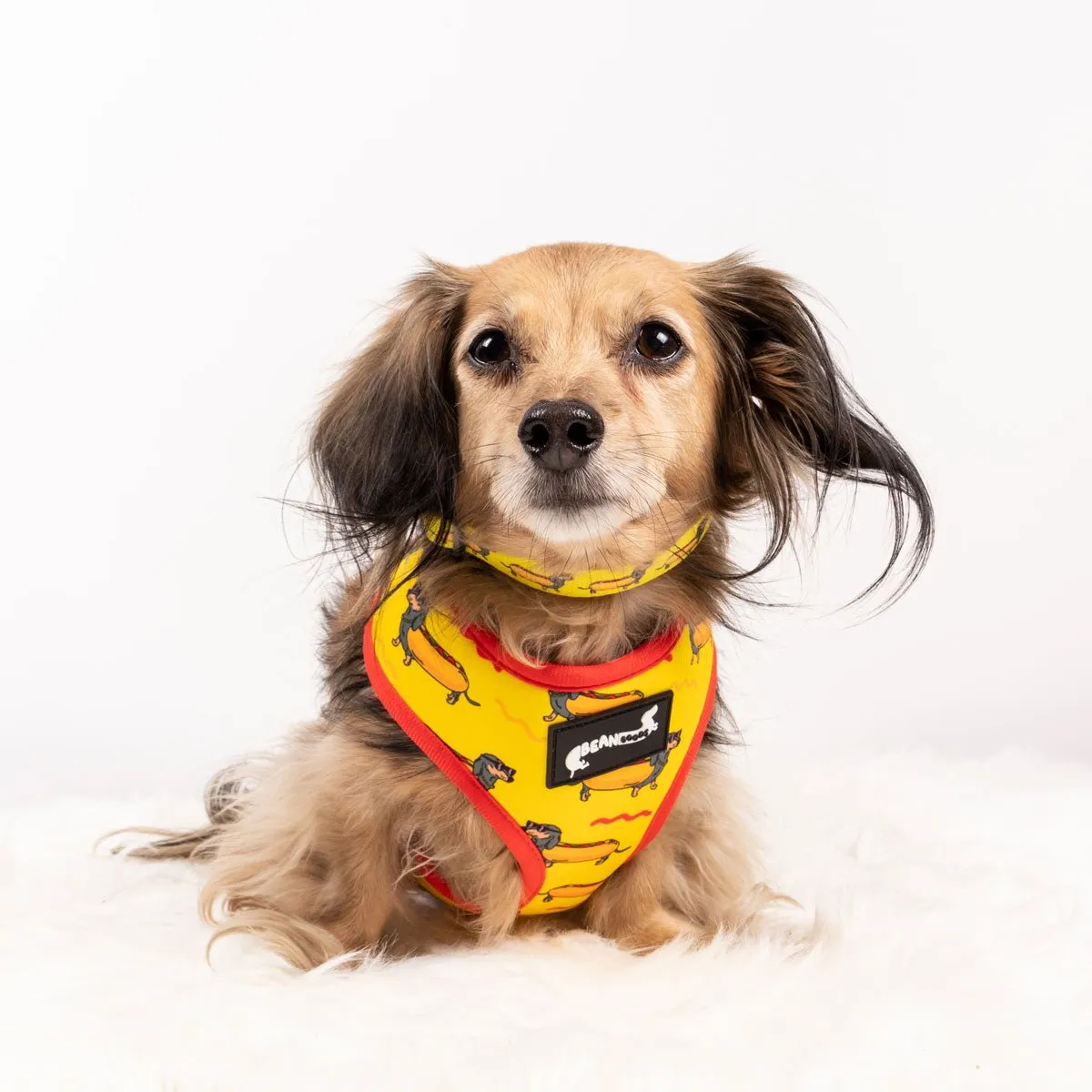 reversible harness - hot dog