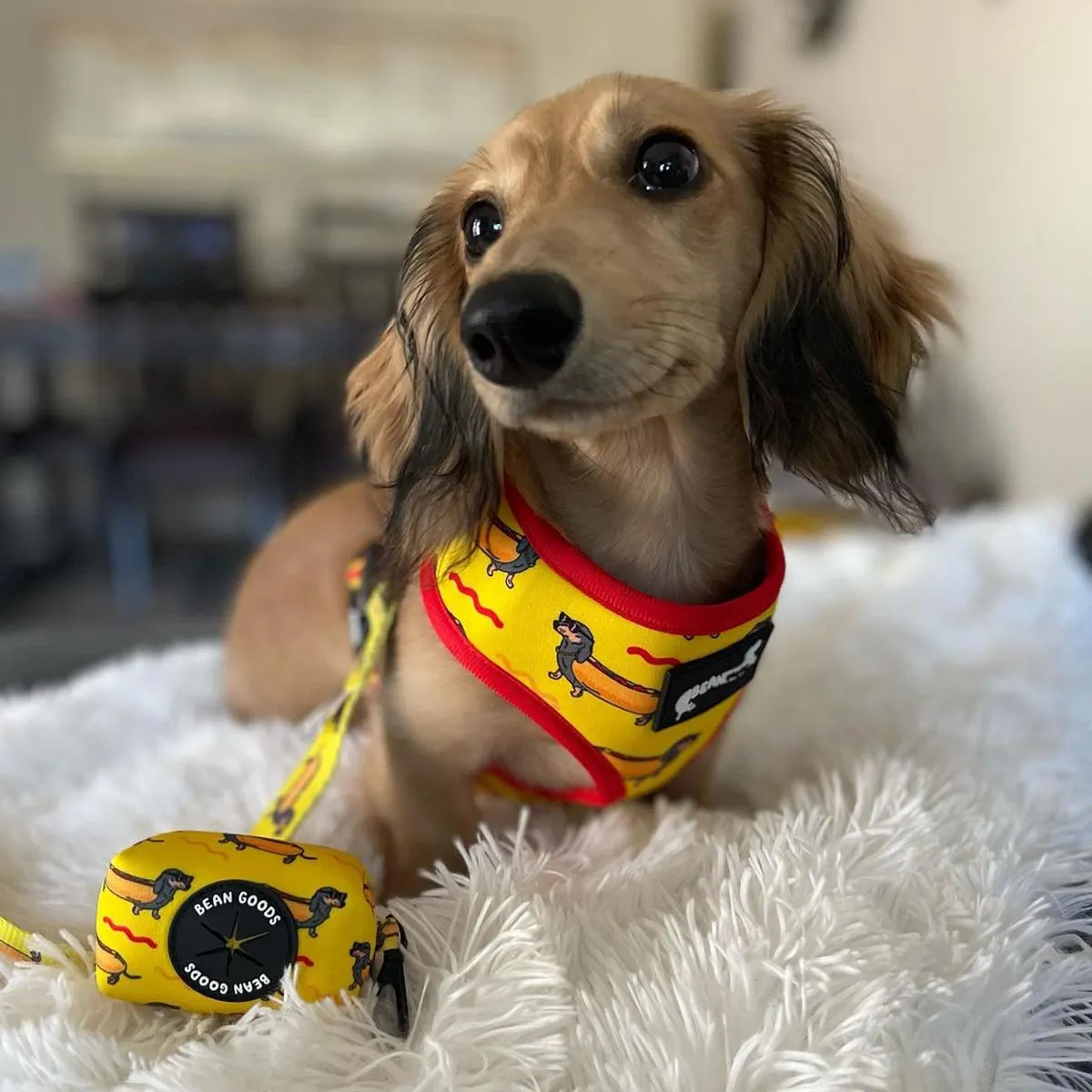 reversible harness - hot dog