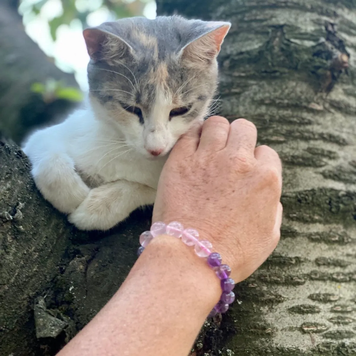 Rose Quartz and Amethyst Bracelet for Gratitude Practice